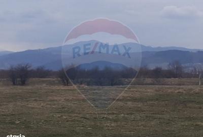 Spațiu comercial, în Pănicel - 8