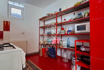 Casa de vanzare in Ineu formata din 2 cladiri - 25