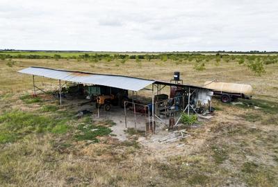 Livada BIO de nuci de vanzare langa Cermei - 4