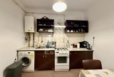 Apartament la casa, 2 camere, 120mp teren, zona Centrala - 2