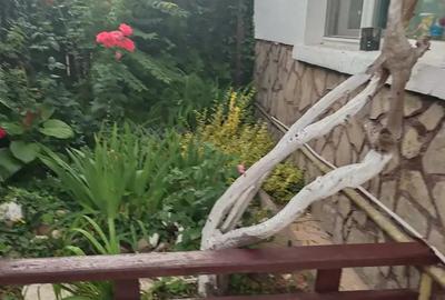 Ploiesti Casa de vanzare locuibila Ploiesti Casa de vanzare locuibila - 5