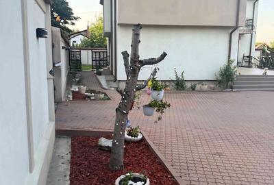 Casă cu 5 camere cu Teren 835 Mp în Rovine - 2