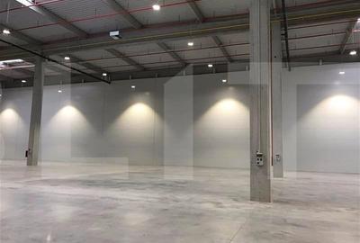Hala moderna, nou construita cu cele mai noi finisaje - 3