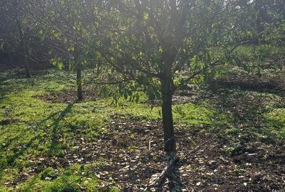 Vand casa loc.Platonesti, Jud.Ialomita - 8