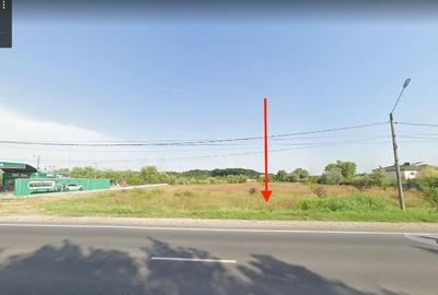 Teren de 4399 mp, în Ciolpani - 3