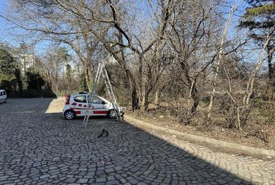Teren investiție, de 5,000 mp, în Calea Plevnei - 11