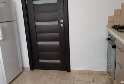 Apartament cu 2 camere nedecomandat în Podul de Piatră - 8