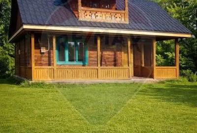 Casa traditionala+teren 9.035mp in Breb,Maramures - 1