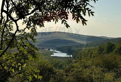 Teren cu parau | 50,000 mp | zona Caianu-Vama | la lizi... - 8