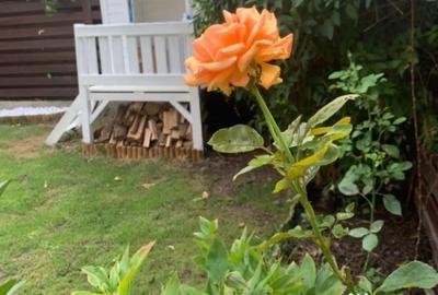 Casă cu 5 camere cu Teren 260 Mp în Corbeanca - 11