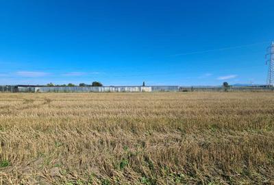 Teren industrial Stupini - 3