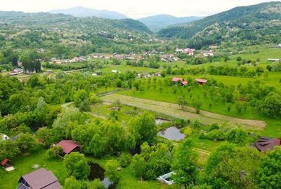 Cabana Bradulet s-a VANDUT - 1