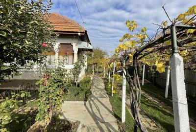 Casă cu 3 camere cu Teren 1500 Mp în Central - 4