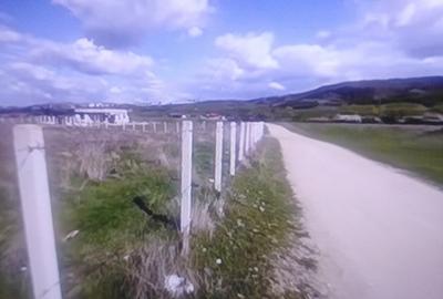 Teren agricol extravilan de 3900 mp, în Sud - 4