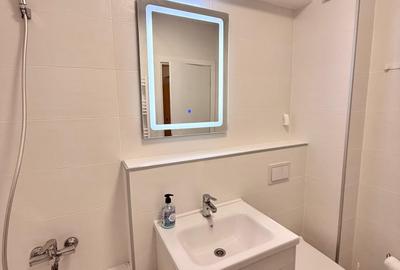 Garsonieră, mobilată în Bucium - 16