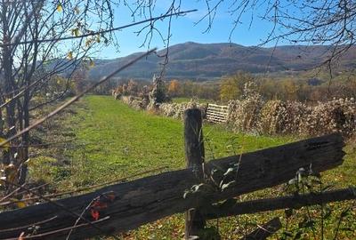 Teren intravilan in Buzau, sat Tega, 3300 mp - 5