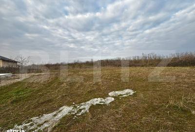 Spațiu comercial, în Cârcea