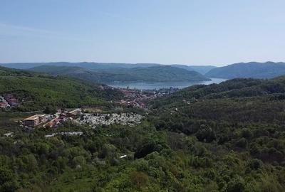 Teren intravilan 2.500 mp cu vie, pomi fructiferi și construcții – Orșova, DN57 - 4