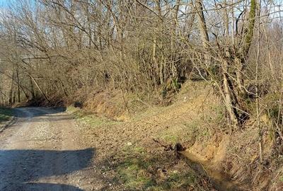 Teren de 3088 mp, în Vânăta - 1
