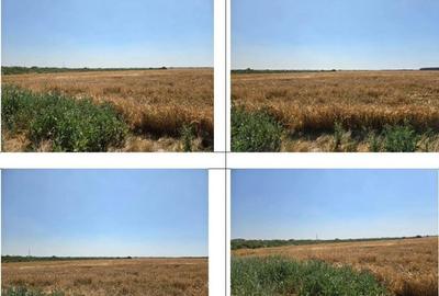 Teren extravilan cota parte 1/2, Magurele, ID: R2641535 - 4