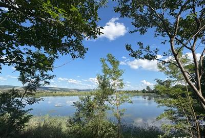Casa de vanzare Feldioara Jud Brasov Casa curte Feldioara Brasov Casa aproape de Brasov Casa Vanzare - 7