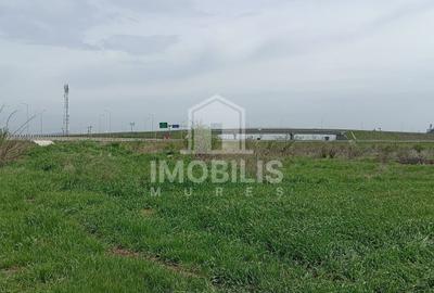 Teren agricol extravilan de 44356 mp, în Exterior Vest - 4