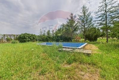 Proprietate specială, de 937 mp, în Dragomirești-Deal - 34