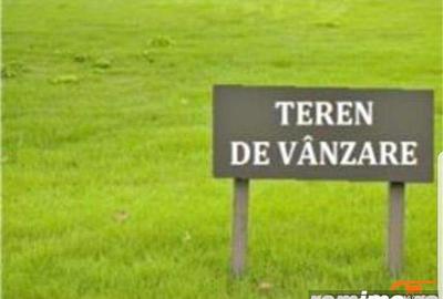 50 000 mp teren intravilan categoria A Jebel - 1