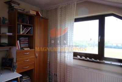 Casa Hintesti, 3 km de oras, 300 mp construiti, piscina, terasa - 14