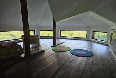 Casă cu 5 camere cu Teren 6842 Mp în Brădetu - 2