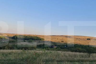 Teren de 11 mp, în Central - 8