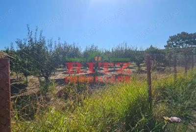 Teren de 56800 mp, în Fărcașele - 10