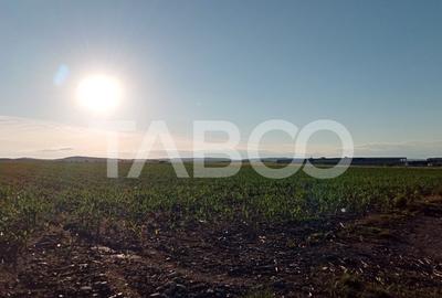 Teren intravilan 20.8 ha deschidere drum zona Industriala Vest Sibiu - 5