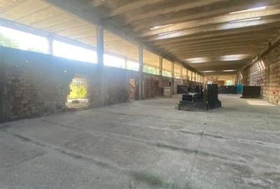 TEREN DE VANZARE 10.000 mp  PTR BUSINESS  SI  HALA DE VANZARE IN EXCLUSIVITATE - 5