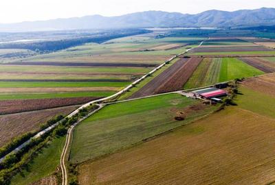 FILM! 18.000 mp,extravilan,agricol constructii, recomandat:f - 10