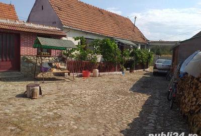 Casă cu 6 camere cu Teren 9000 Mp în Orăștioara de Jos - 7