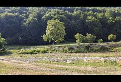Spațiu comercial, în Moroeni - 3