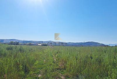 Posibilitate RATE | Teren Bod | curti constructii | utilitati | PUZ, - 15