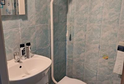 Apartament cu 3 camere în Iosefin - 8