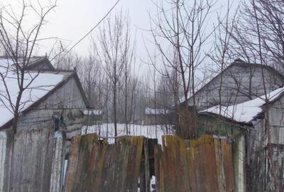 Teren intravilan , 5000mp, zona Negostina, Siret - 5