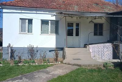 Casă cu 2 camere cu Teren 1950 Mp în Gothatea - 8