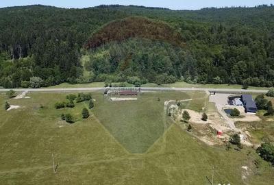 Teren de 5561 mp, în Paltin - 10