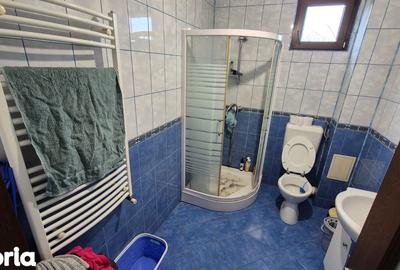 Casă cu 3 camere cu Teren 466 Mp în Dobroești - 15