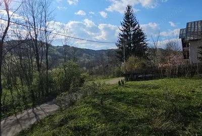 Teren în Brebu - 16