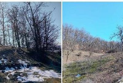 Teren de 140670 mp, în Lapoș - 4