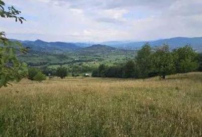 Teren de 6311 mp, în Rona de Sus - 5