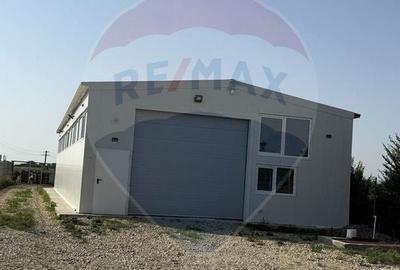 Hala de vanzare in Crevedia 240 mp utili teren 4.000 mp acces TIR - 4