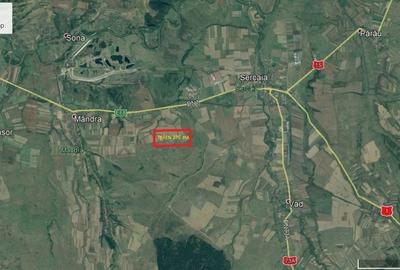 Teren Sercaia  250 ha - 2