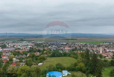 Teren de 726 mp, în Poiana Angelescu - 13