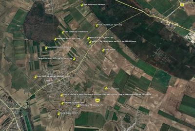 Teren Construcții intravilan de 13500 mp, în Săbăreni